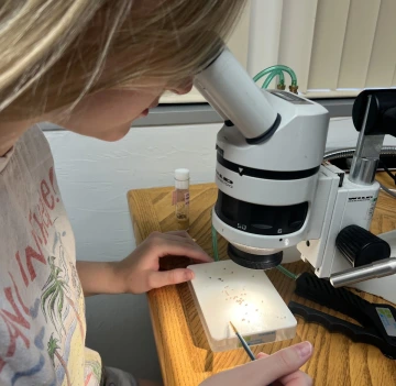 Microscope