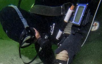 Underwater diver collects samples.