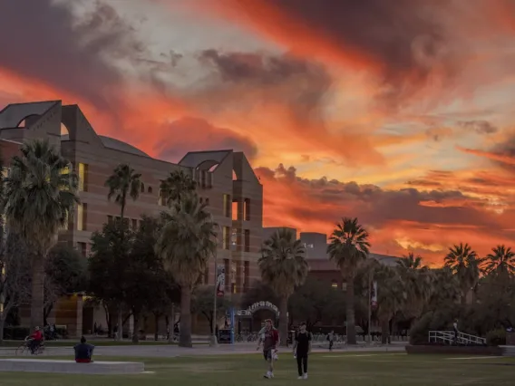 UArizona campus.