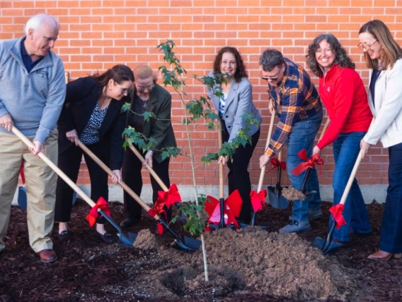 Tree planting