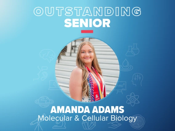 Amanda Adams