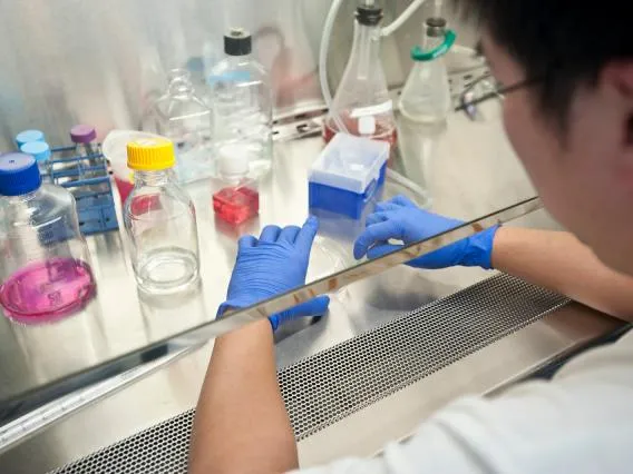 Student working in lab