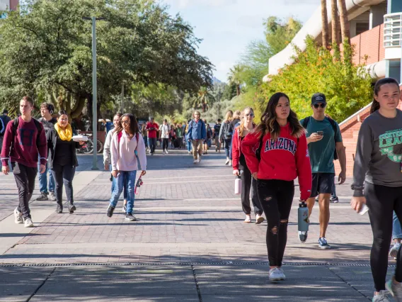 Cognitive Science Major University of Arizona