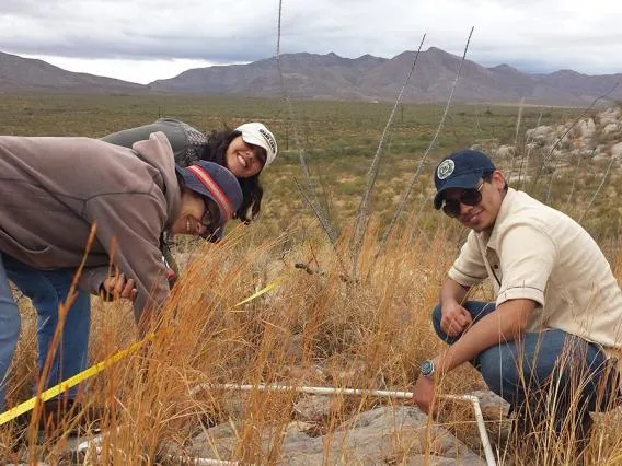 Students doing research in a field