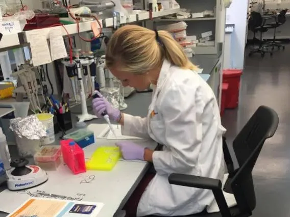 Student working in lab