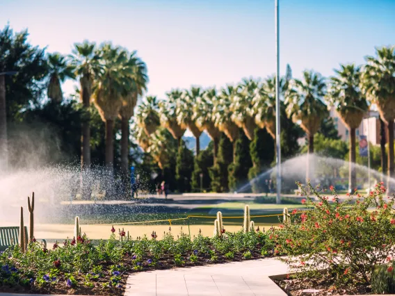 UofA_Fountain_Old_Main