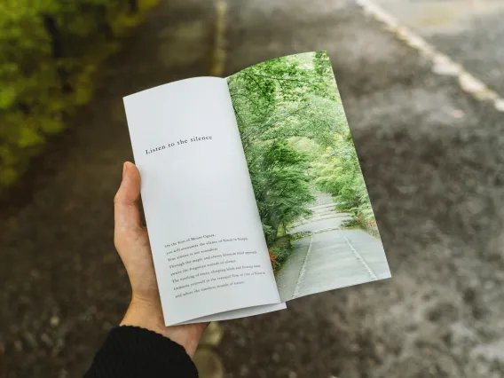 Person holding a trifold