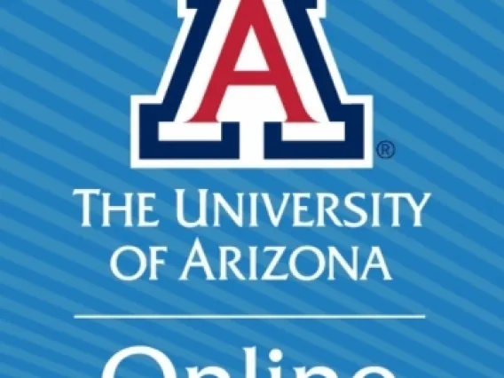 Arizona Online 2024