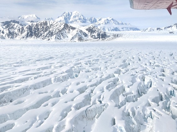 Aerial view of Malaspina Glacier shows a vast expanse of ice and crevasses