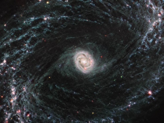 The spiral arms of nearby galaxy NGC 1433 light up in this image taken by the James Webb Space Telescope, revealing evidence of extremely young stars releasing energy.