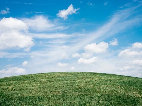 Ground and the sky