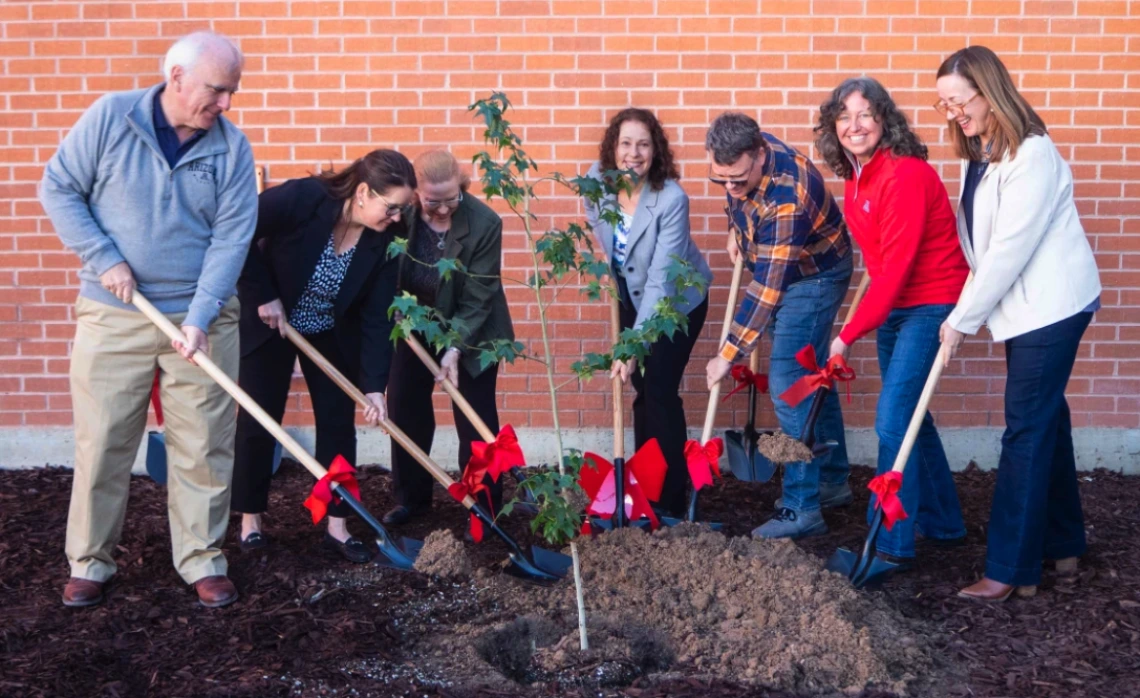 Tree planting