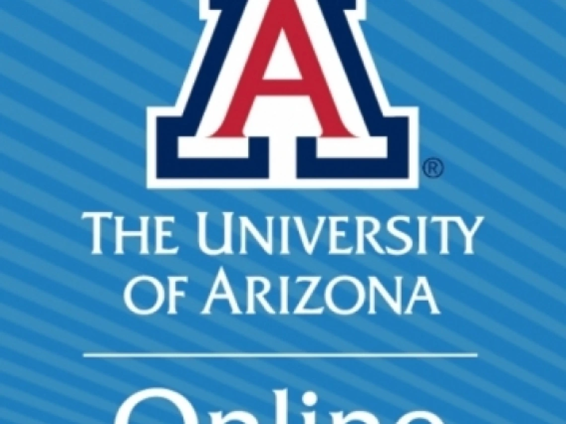 Arizona Online 2024