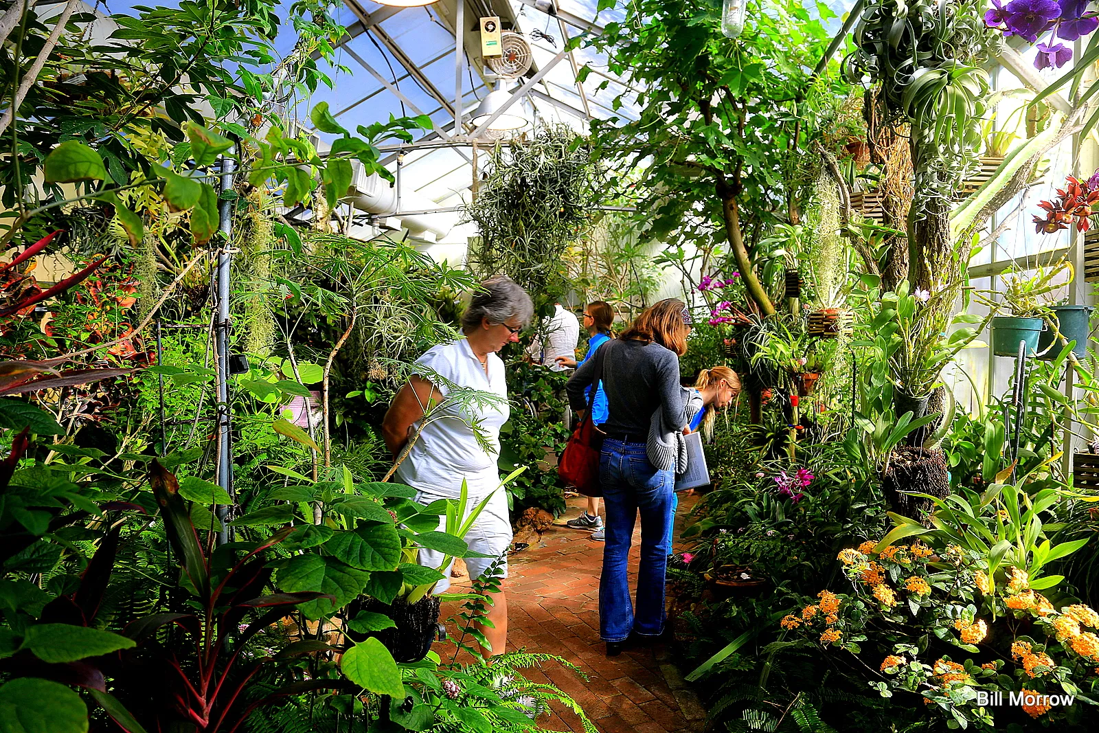 Tucson Botanical Gardens