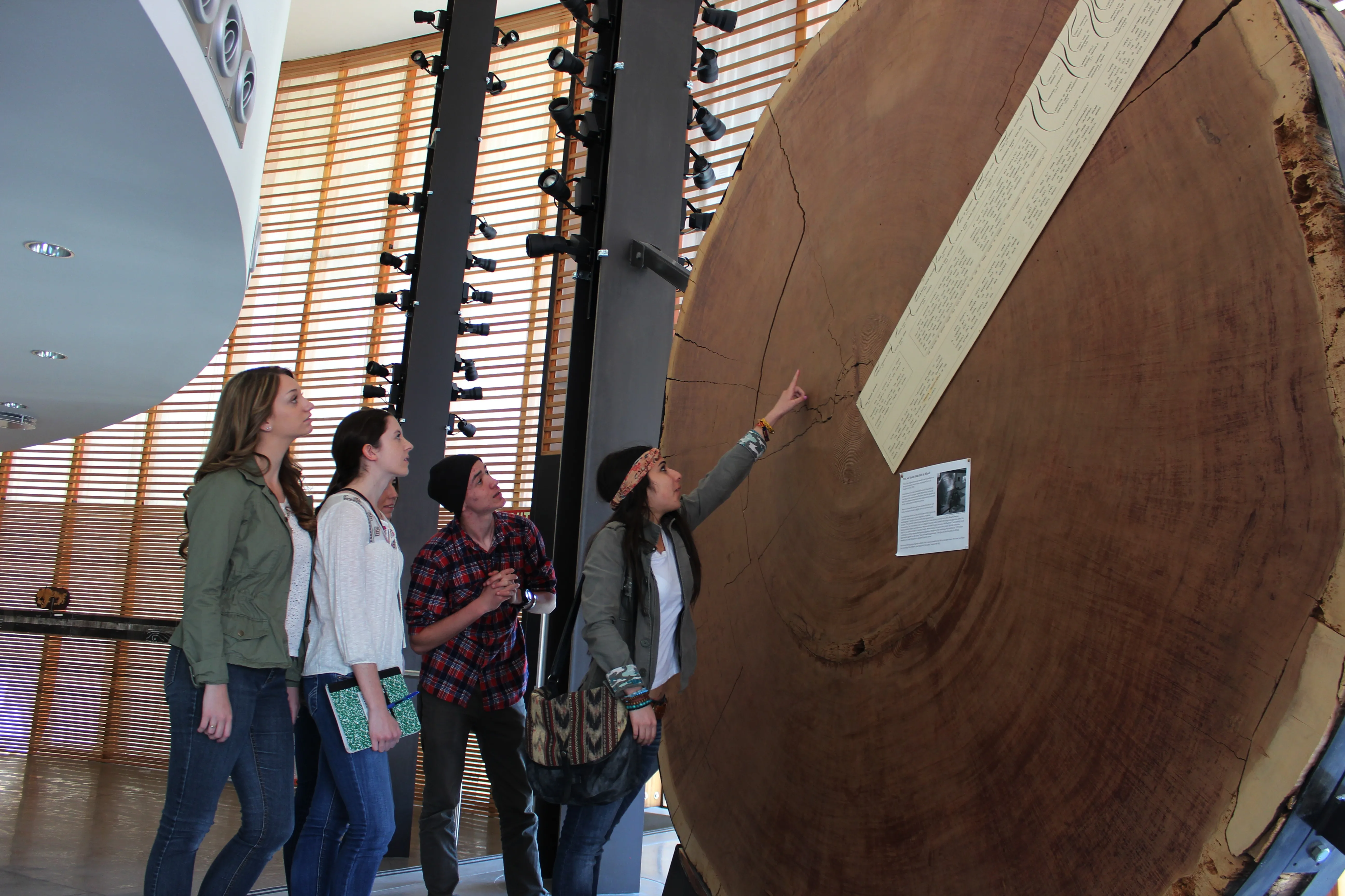 Laboratory of Tree-Ring Research University of Arizona